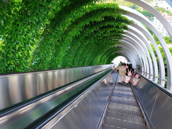 植物園網紅天梯