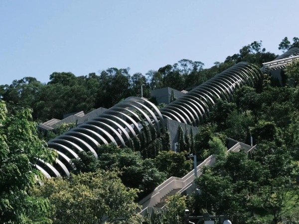 植物園網紅天梯