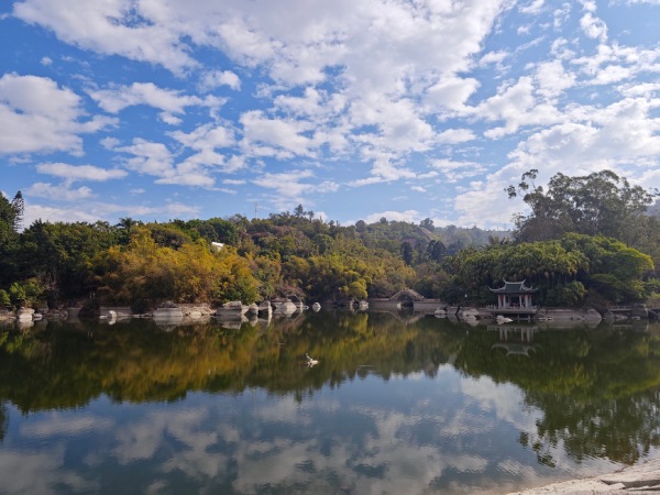植物園網紅天梯