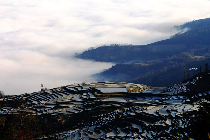 元陽梯田-多依樹景區-世界文化遺產：元陽梯田景區