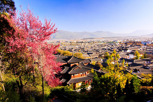 麗江古城-兩大古城漫遊