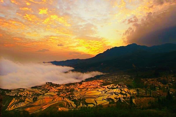 元陽梯田-多依樹景區-世界文化遺產：元陽梯田景區