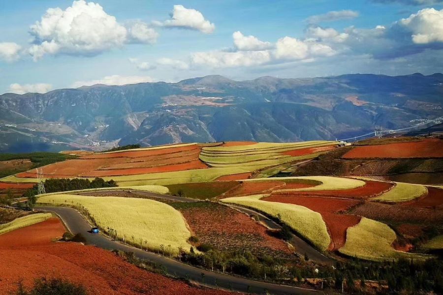 東川紅土地-上帝調色盤：東川紅土地