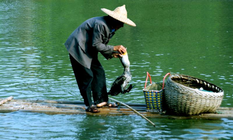 荔江灣景區(魚鷹捕魚、天宮岩)