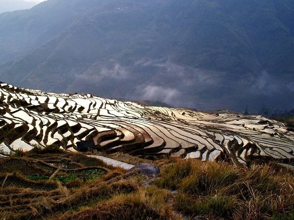 古壯寨梯田-龍脊古壯寨梯田