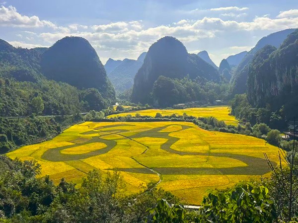 季節限定賞花景點