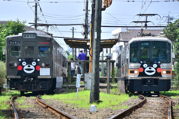 萌熊電車(約6分鐘)