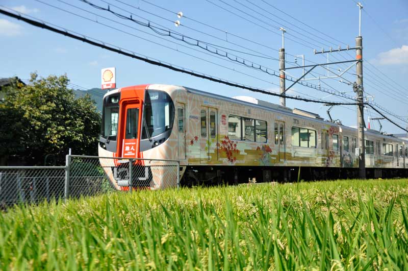 雙電車體驗