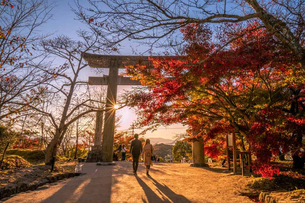 太宰府天滿宮(送：梅枝餅)