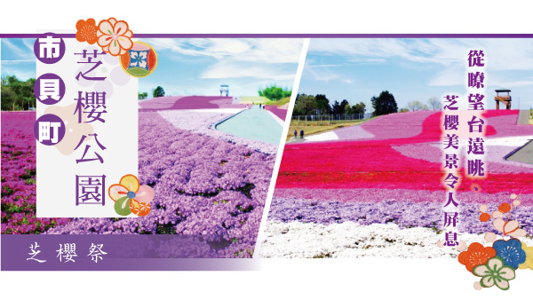 浪漫芝櫻地毯～市貝町芝櫻公園