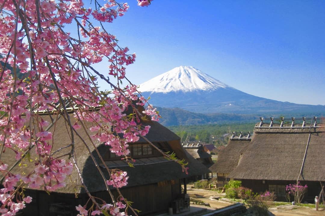 写真提供：西湖いやしの里根場-西湖合掌村