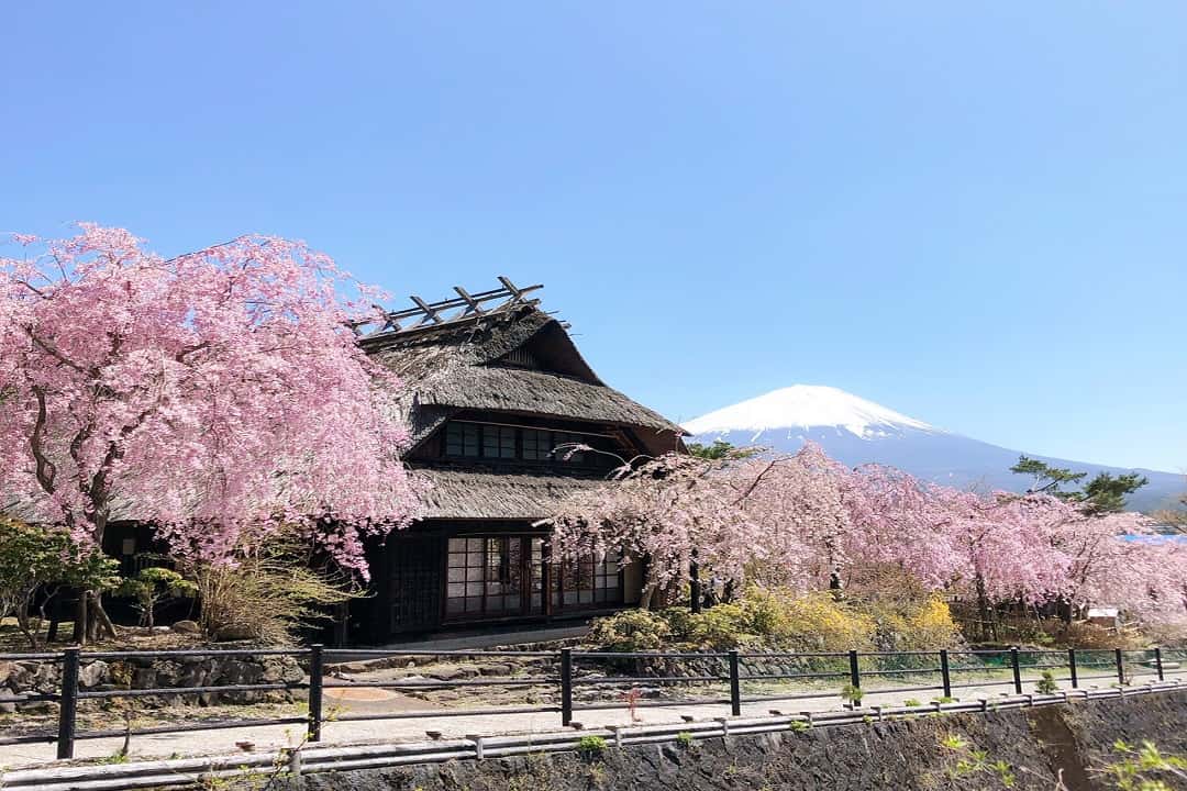 写真提供：西湖いやしの里根場-西湖合掌村