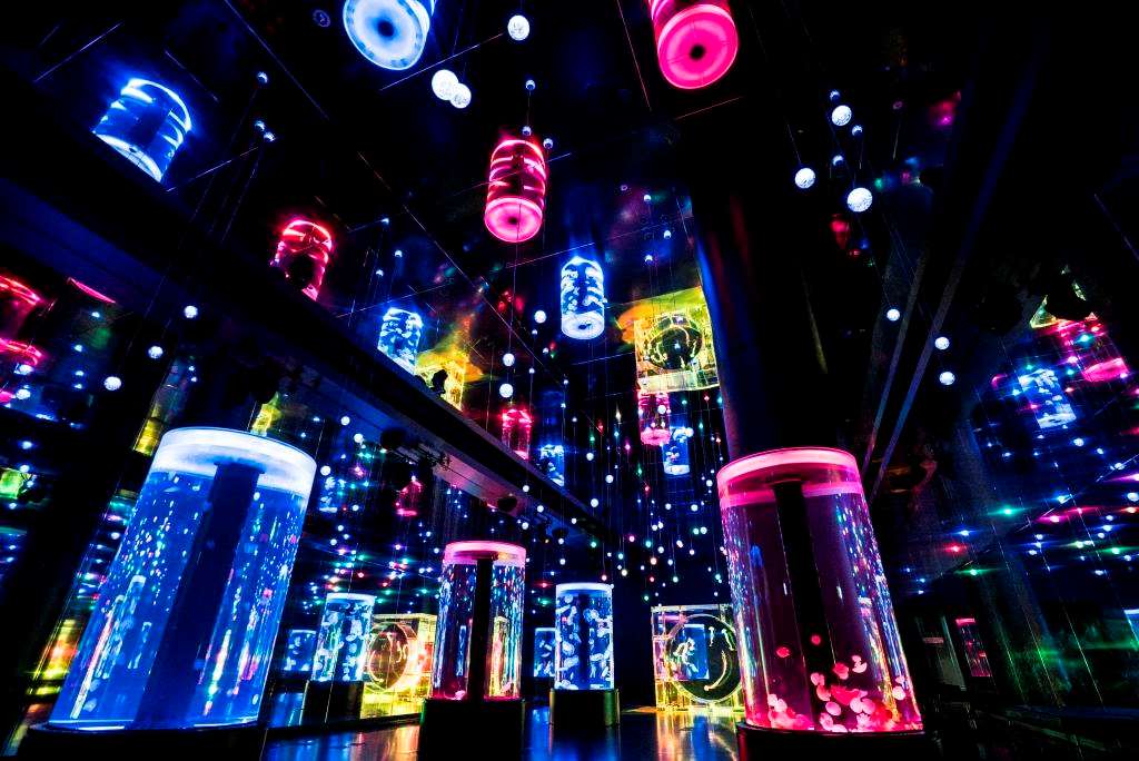 品川水族館AQUA PARK(海豚表演)