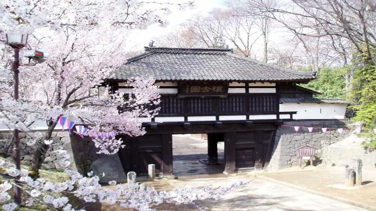 照片來源:官網-日本櫻花百選