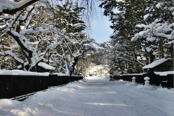 秋田雪景漫遊