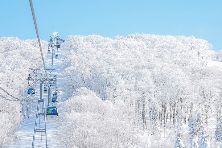 森吉山：阿仁樹冰纜車(冬季樹冰+雪盆體驗)