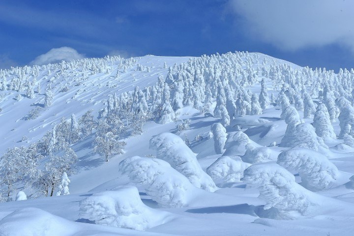 森吉山：阿仁樹冰纜車(冬季樹冰+雪盆體驗)