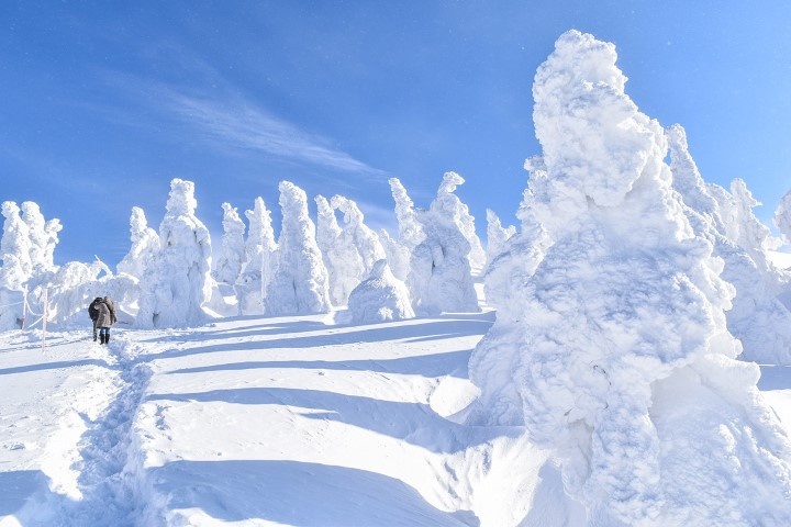 森吉山：阿仁樹冰纜車(冬季樹冰+雪盆體驗)