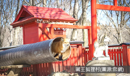 藏王狐狸村