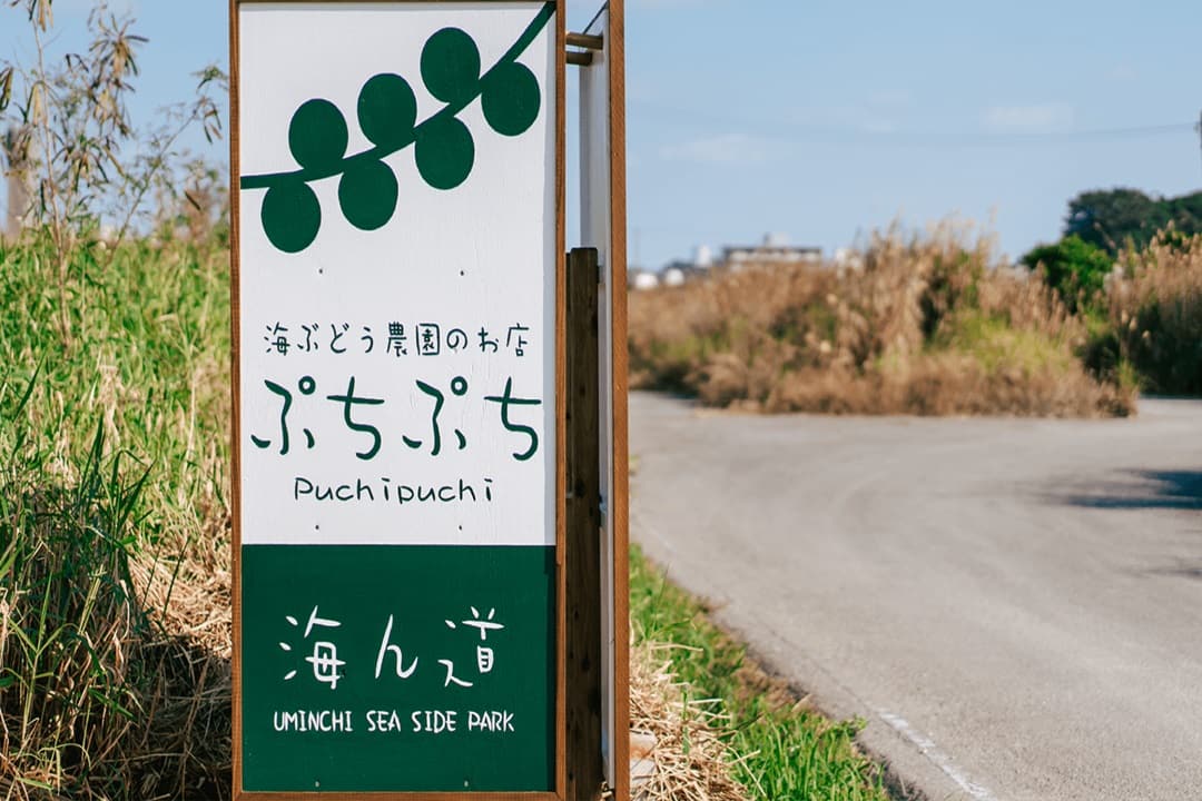 照片來源:官方網站-UMINCHI SEA SIDE PARK(海葡萄見學體驗)