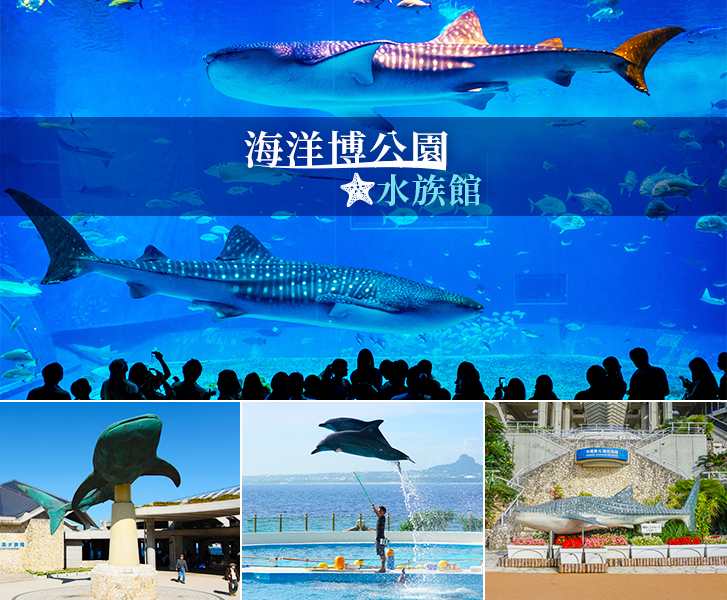 沖繩美之海水族館