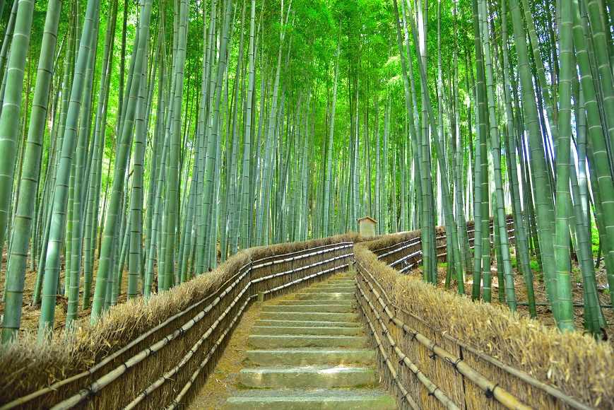 嵐山故事旅行