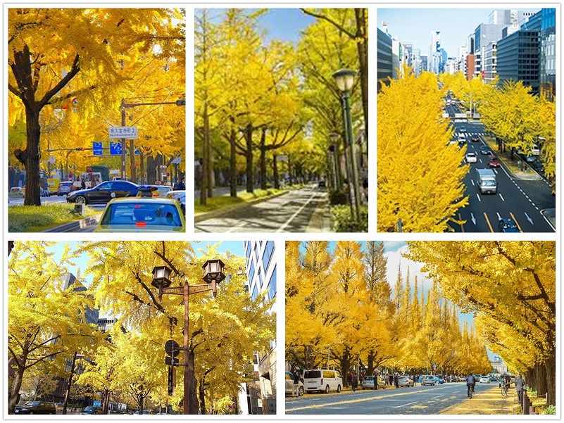 關西大阪漫遊