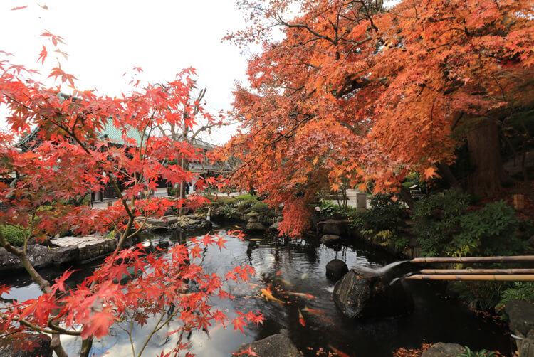 長谷寺(花之御寺)