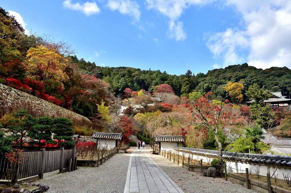 長谷寺(花之御寺)