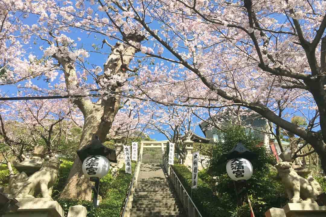 北野天滿宮-神戶港灣美景