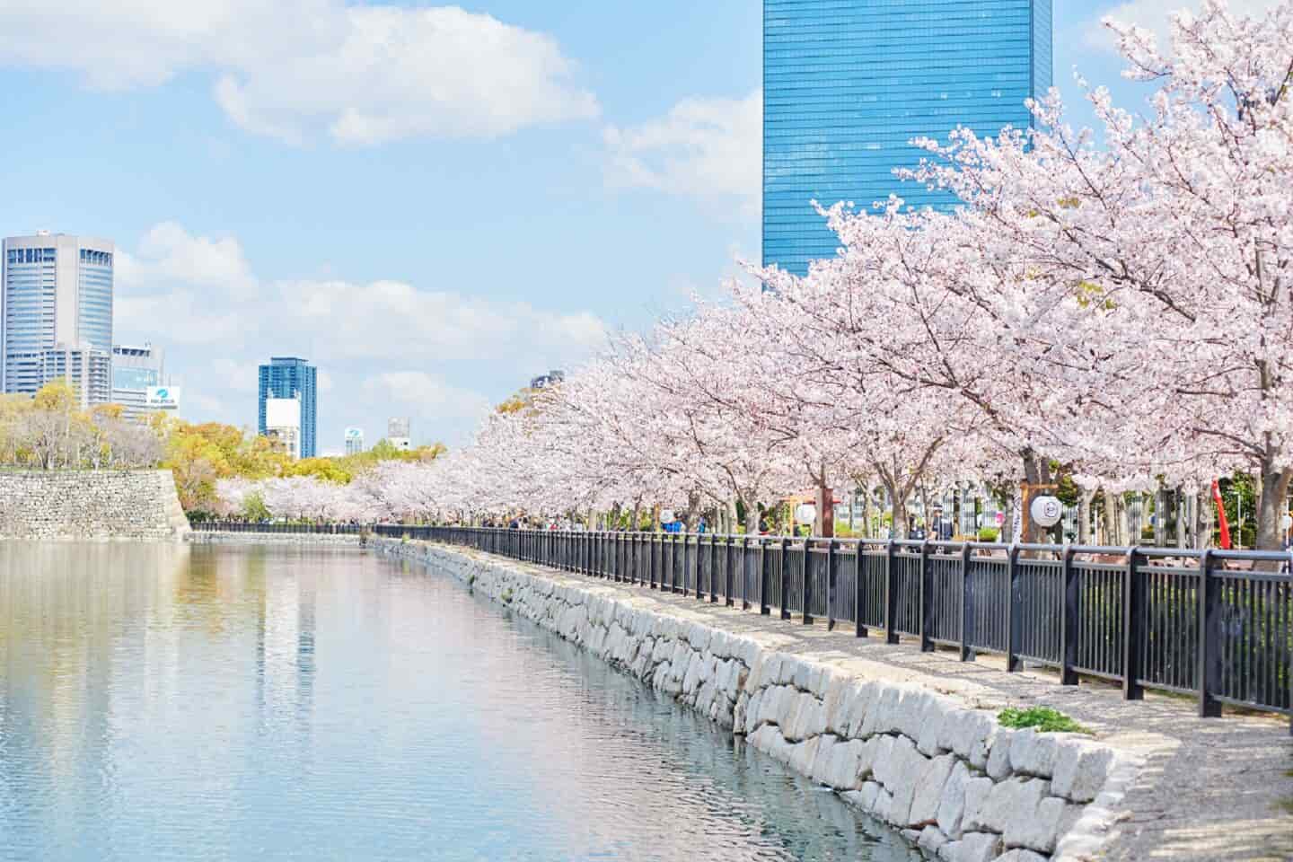 大阪城公園(賞櫻；不上天守閣)