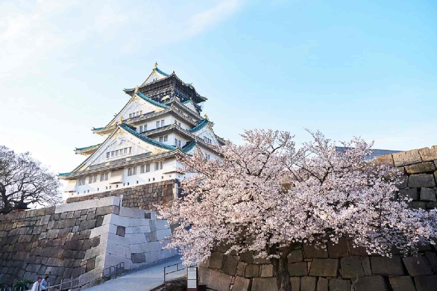 大阪城公園(賞櫻；不上天守閣)