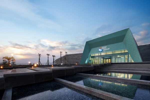 濟州水上星球(AQUA PLANET)水族館-水上星球水族館