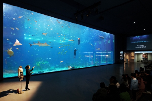 濟州水上星球(AQUA PLANET)水族館-水上星球水族館