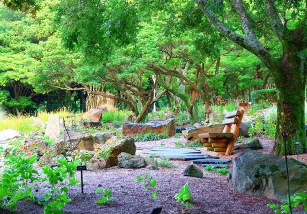漢拏樹木園