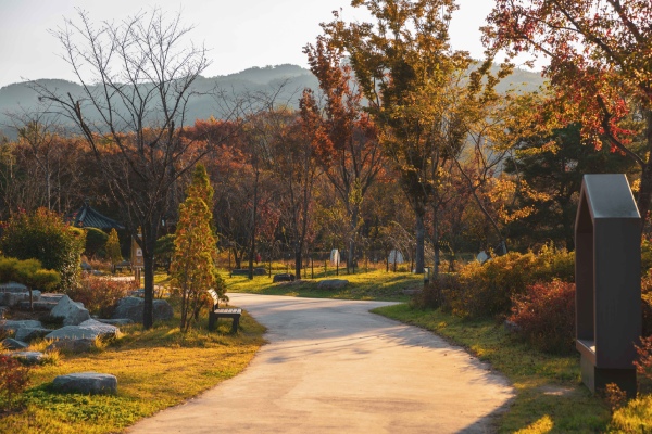 慶州千年公園-慶州：千年森林庭園(賞楓)
