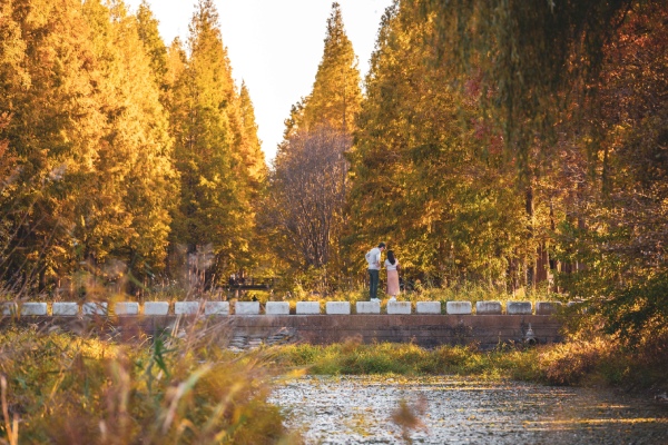 慶州千年公園-慶州：千年森林庭園(賞楓)