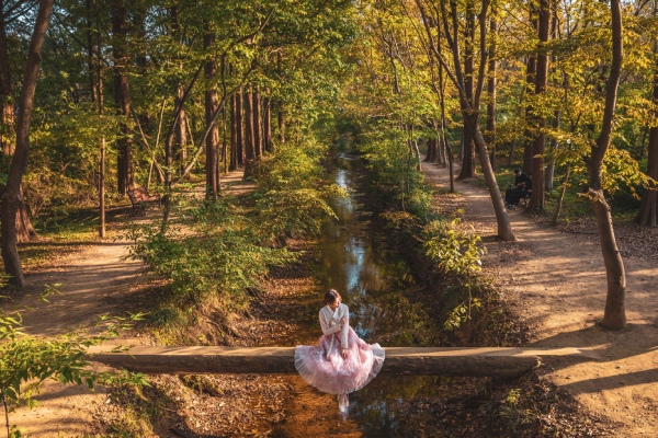 慶州千年公園-慶州：千年森林庭園(賞楓)