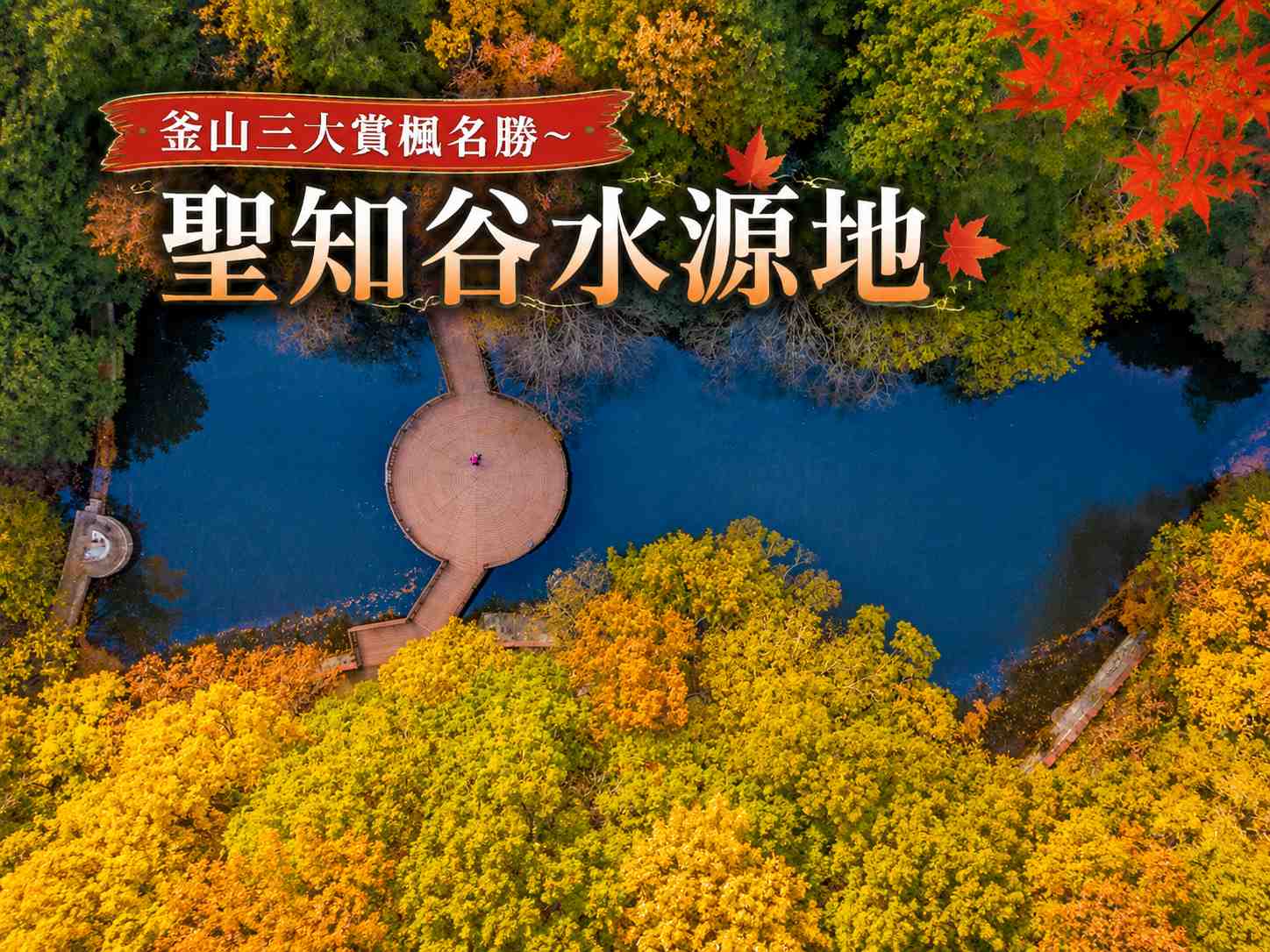 紅葉故事旅行