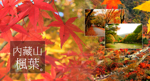 內藏山國立公園(賞楓)