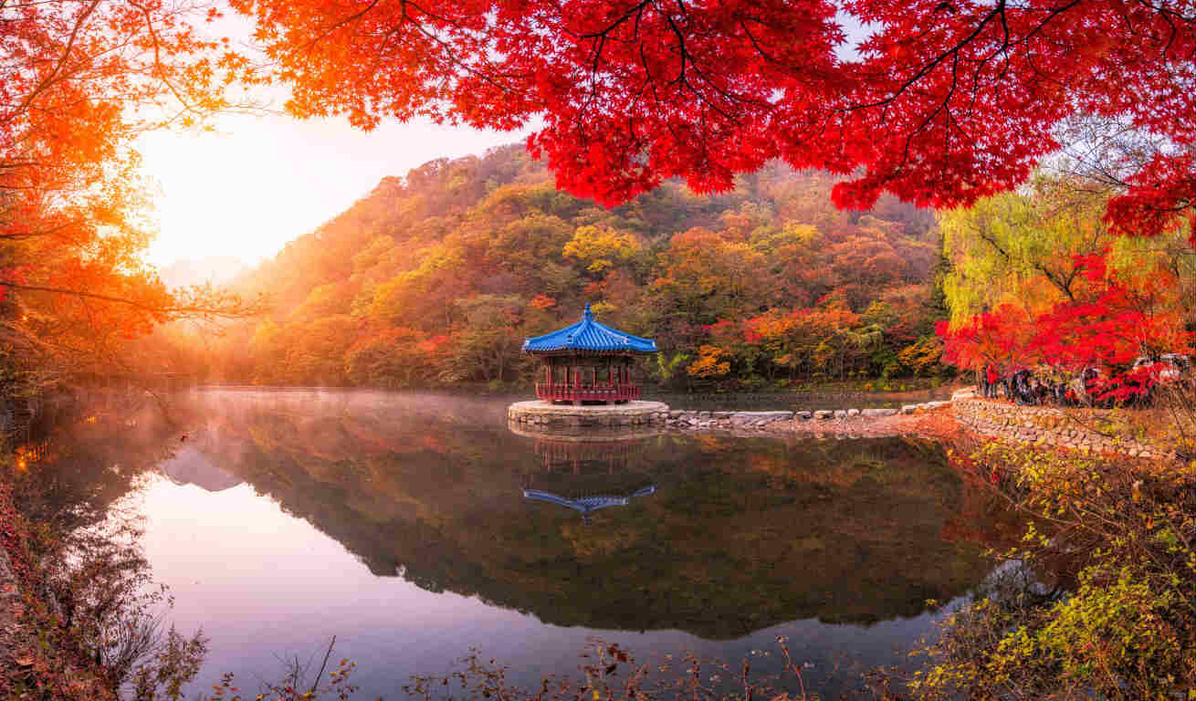 內藏山國立公園(賞楓)