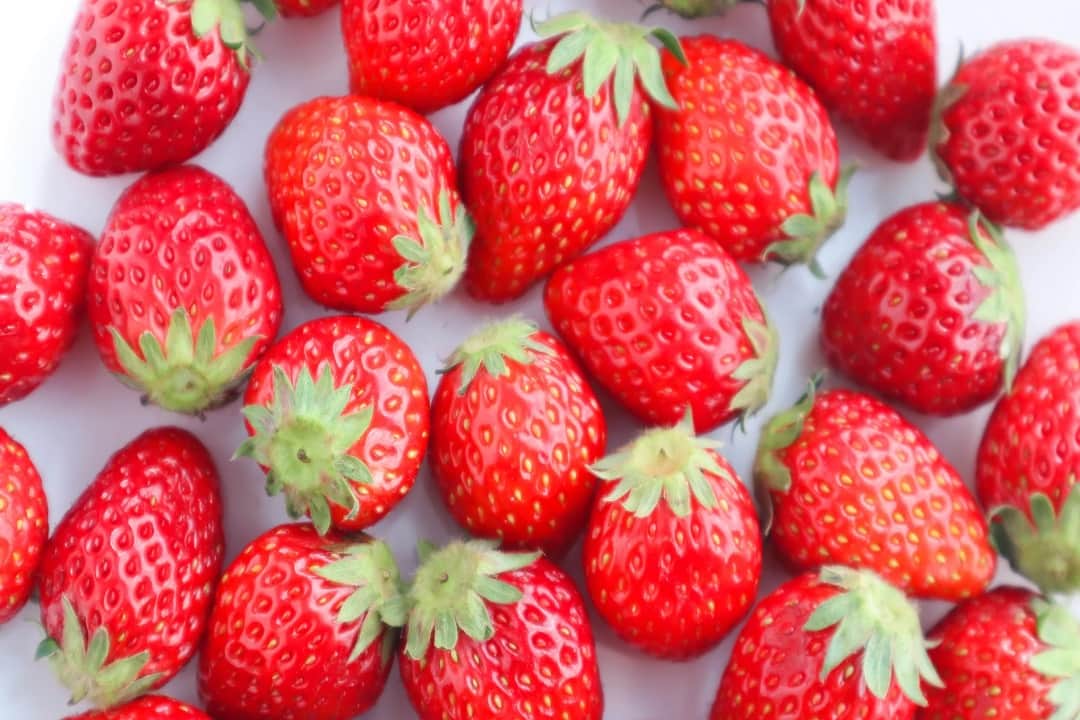 冬季人氣活動(滑雪+採草莓)