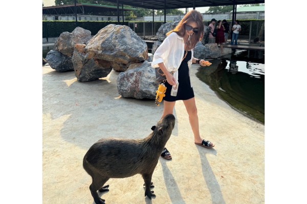 大城動物園(動物表演秀+長頸鹿美拍)