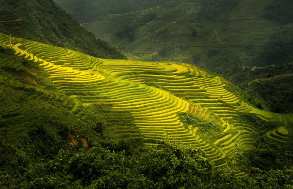 沙壩(夢幻雲霧山城)