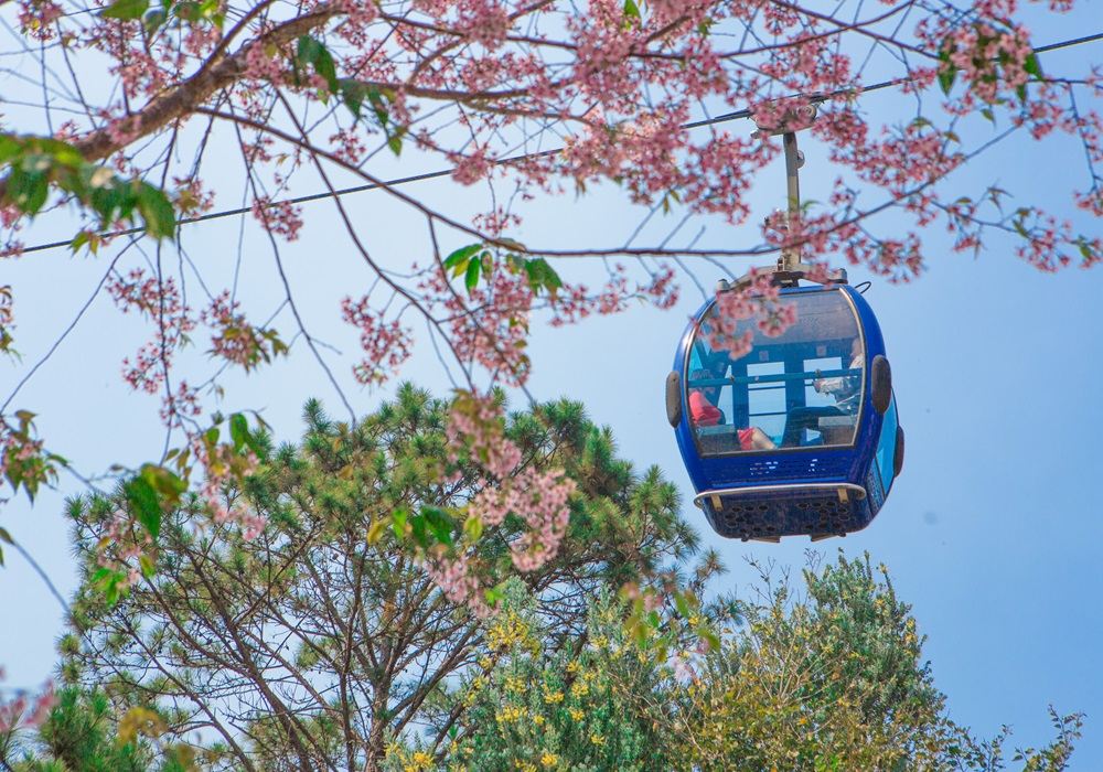 大叻竹林禪寺~單程纜車