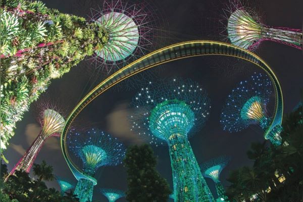 超級樹-新加坡：超級天空樹幻彩燈光秀